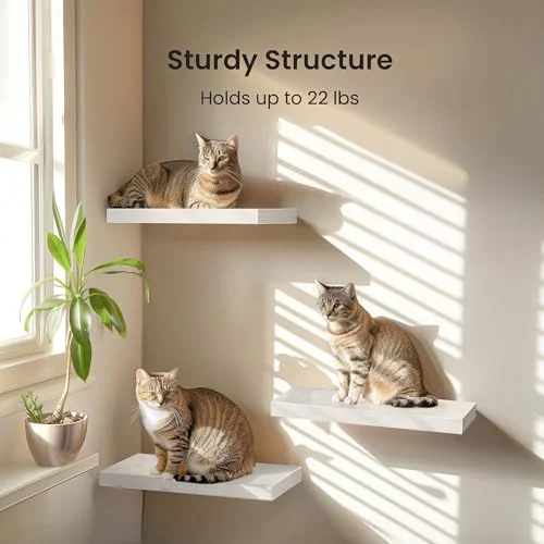 AMADA HOMEFURNISHING Floating Shelves – White Wall Decor Set of 3 features