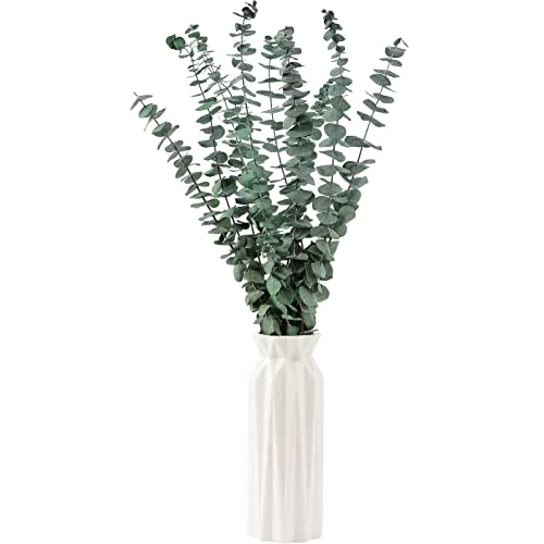 10 Pcs Dried Eucalyptus Stems – Real Eucalyptus for Home Decor detail