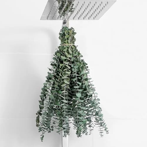 10 Pcs Dried Eucalyptus Stems – Real Eucalyptus for Home Decor review